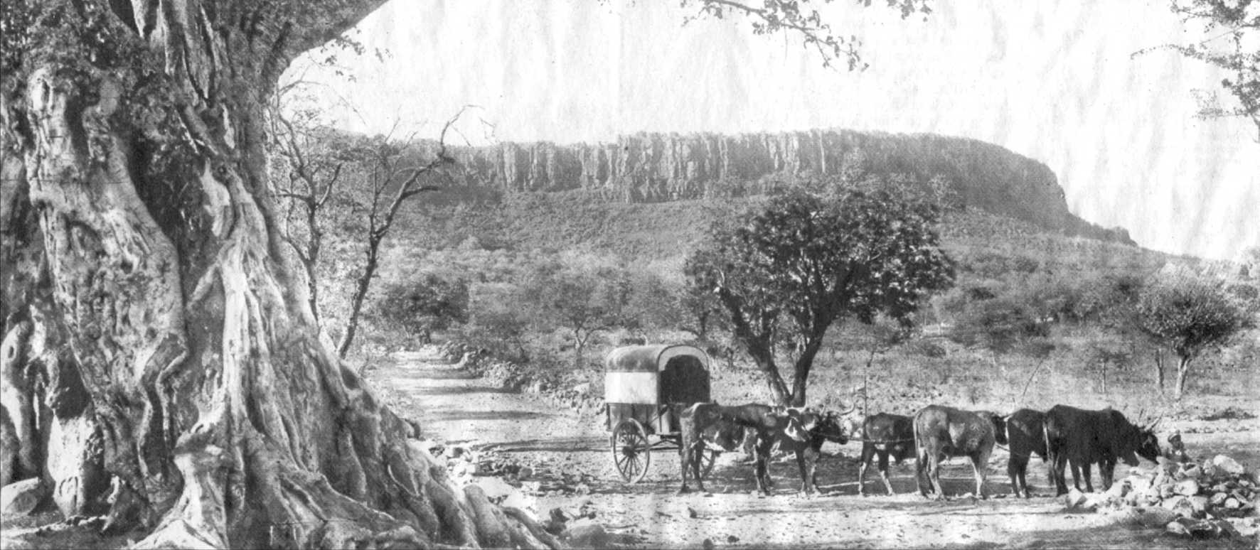 Waterberg