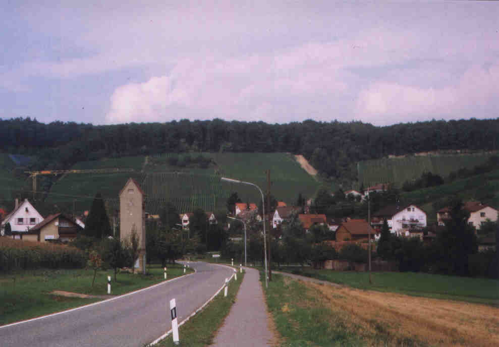 Buchhorn bei Ebersbach
